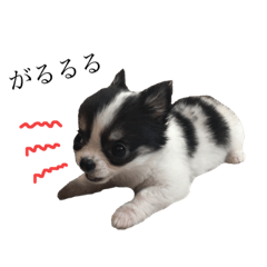 [LINEスタンプ] ムッカ様だぞ！Part1