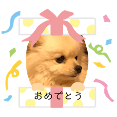 [LINEスタンプ] ポメラニアン もものきもち