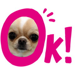 [LINEスタンプ] ぷーちゃん's 日常②