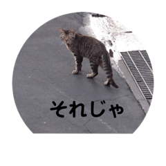 [LINEスタンプ] 至極のスタンプ
