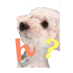 [LINEスタンプ] アン女王の華麗な日々 fetchpriority=high
