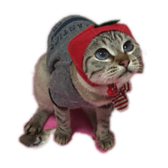 [LINEスタンプ] ぶちごま