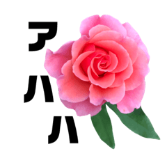 [LINEスタンプ] yasuおばさんの薔薇の気持ち3
