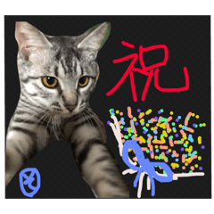 [LINEスタンプ] ひな そら さん 2