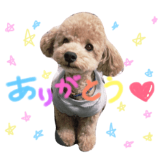 [LINEスタンプ] coco.seira.taro