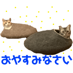 [LINEスタンプ] つかえるスタンプ是非どうぞ ニャンズ編
