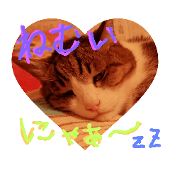 [LINEスタンプ] にゃんnyan