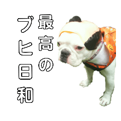 [LINEスタンプ] フレブルコウちゃん3