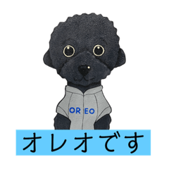 [LINEスタンプ] オレオ自称トイプードルのスタンプです。3