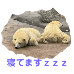 [LINEスタンプ] テオティワのスタンプ