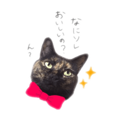 [LINEスタンプ] オシマの愉快な仲間たち♪
