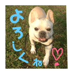 [LINEスタンプ] 遊んでね〜、僕シアンっていうの