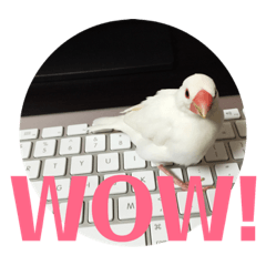 [LINEスタンプ] 私の文鳥スタンプ②