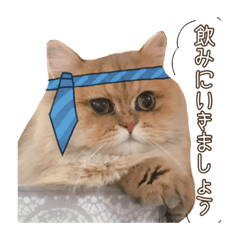 [LINEスタンプ] ロイシンプルスタンプ