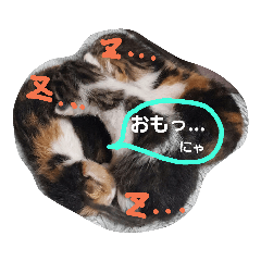 [LINEスタンプ] イエネコ日和