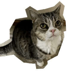[LINEスタンプ] ふきげん猫ちび ver 2
