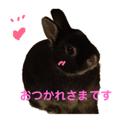 [LINEスタンプ] うぉるちゃん 