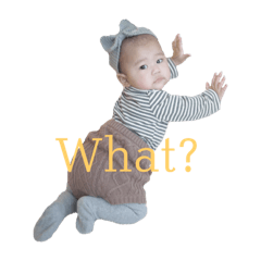 [LINEスタンプ] クオーターちゃん 
