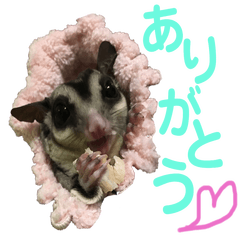 [LINEスタンプ] ももたろう＆きなこ 