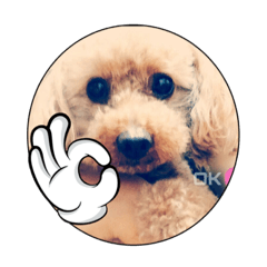 [LINEスタンプ] Rovi★stamp