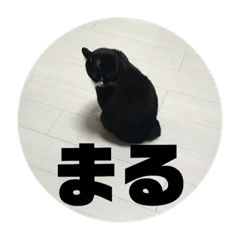 [LINEスタンプ] まんまるしっぽのまる 