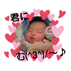 [LINEスタンプ] がーまるぽんぽこ～4month