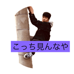 [LINEスタンプ] おとなりの田中さん 