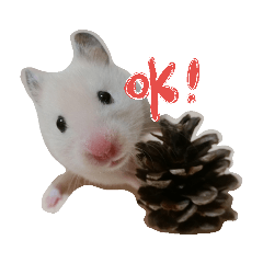 [LINEスタンプ] ハムスターのごまとしお 