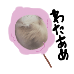 [LINEスタンプ] ウチのくっちゃも 