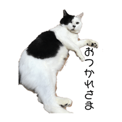 [LINEスタンプ] おはつぶ fetchpriority=high