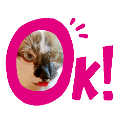 [LINEスタンプ] 猫達の気持ち