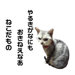 [LINEスタンプ] 愛猫達のスタンプ 