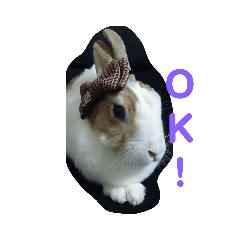 [LINEスタンプ] う～ちゃんです