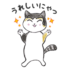 [LINEスタンプ] 三毛猫タラゴン 