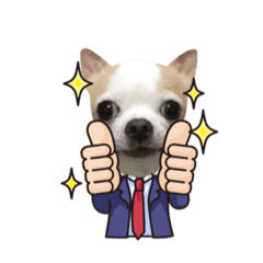 [LINEスタンプ] クーちゃん・ビジネス編＆学生編＆王子様編 