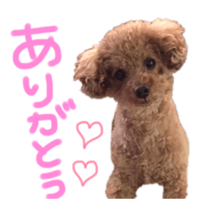 [LINEスタンプ] レオンの日常♡ 