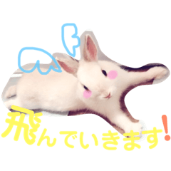 [LINEスタンプ] こっちゃんとちーちゃん