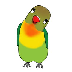 [LINEスタンプ] ボタンインコのモモです