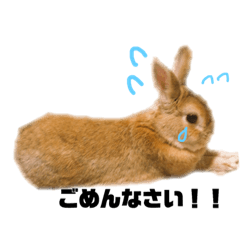 [LINEスタンプ] うさぎのみんと君 敬語