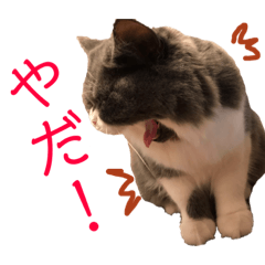 [LINEスタンプ] 仲良し兄弟モコとグリPart4