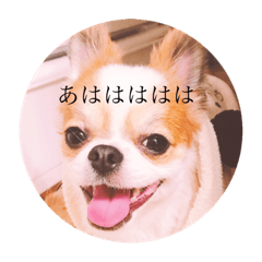 [LINEスタンプ] ソイクル 2弾