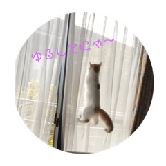 [LINEスタンプ] マロンの日常！！