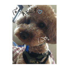 [LINEスタンプ] レオくん♡