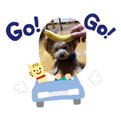 [LINEスタンプ] ココアの毎日