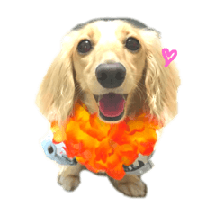 [LINEスタンプ] moana ⭐️