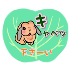[LINEスタンプ] うさぎの♪うーちゃん言葉