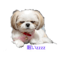 [LINEスタンプ] パンさんtheスタンプ