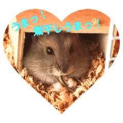 [LINEスタンプ] ハムスターのぱせりスタンプ