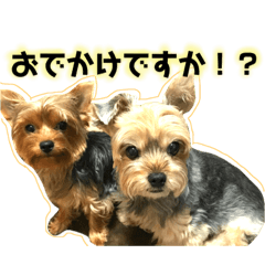 [LINEスタンプ] きなこのえる