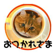 [LINEスタンプ] 気ままな猫達9